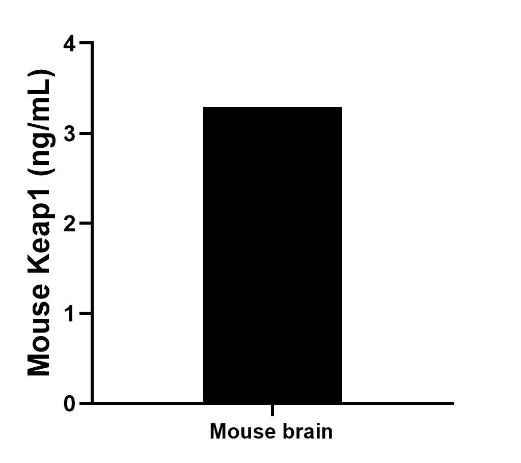 The mean Keap1 concentration was determined to be 3.29 ng/mL in mouse brain tissue extract based on a 1.60 mg/mL extract load.